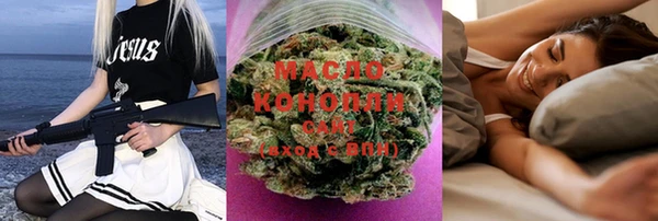 крисы Мегион