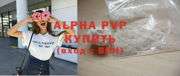 крисы Мегион