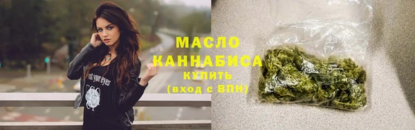 крисы Мегион