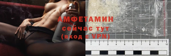крисы Мегион