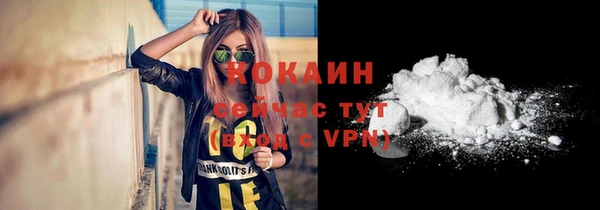 крисы Мегион
