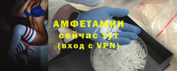 крисы Мегион