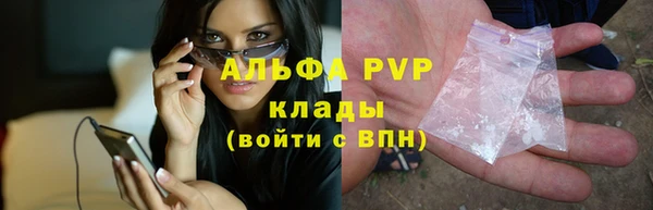 крисы Мегион