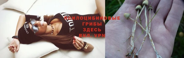шишки Медногорск
