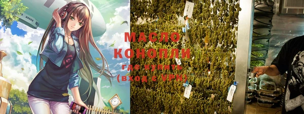 крисы Мегион