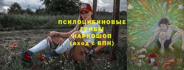 крисы Мегион