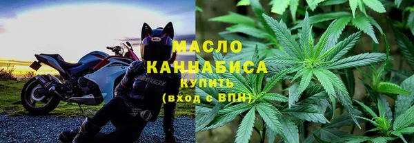 крисы Мегион