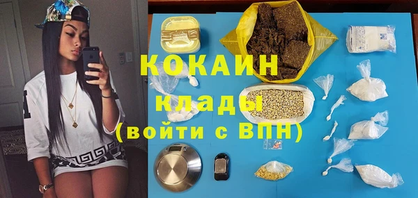 крисы Мегион