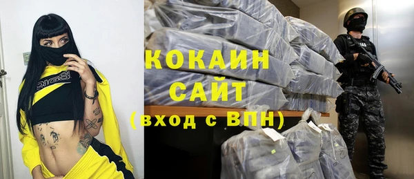 шишки Медногорск