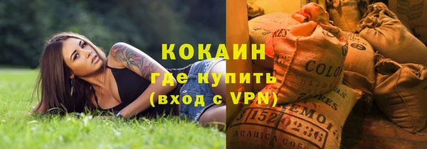 крисы Мегион