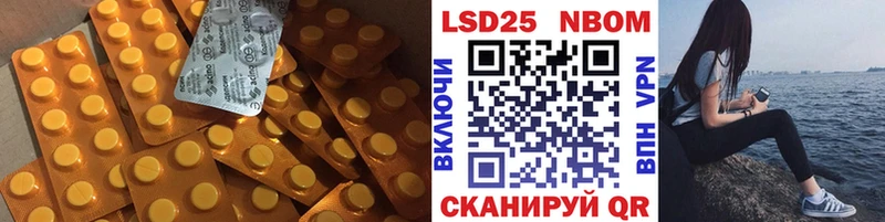 где купить наркоту  Елец  блэк спрут как зайти  LSD-25 экстази ecstasy 