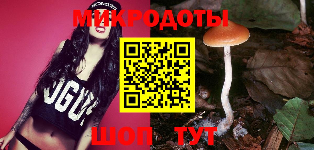 Галлюциногенные грибы Psilocybe  Псилоцибиновые грибы Cubensis  Вход с VPN  Елец 