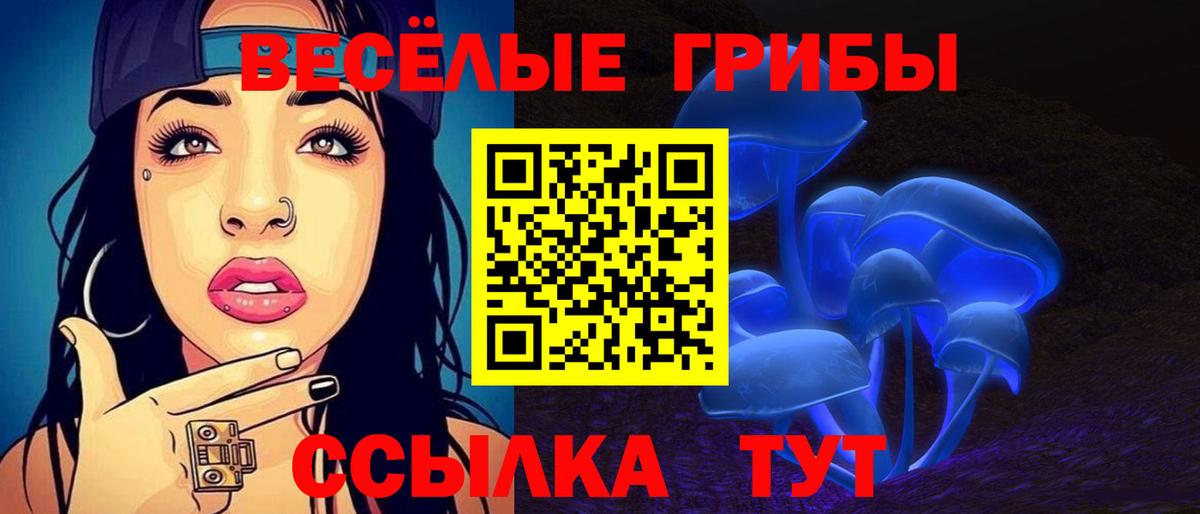 Галлюциногенные грибы Psilocybe  Галлюциногенные грибы прущие грибы  Елец 