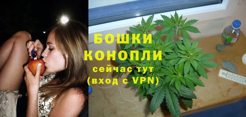 купить наркоту  блэк спрут маркетплейс  МАРИХУАНА Ganja  Елец 