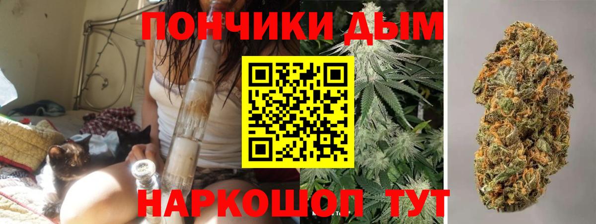 Бошки Шишки White Widow  Бошки Шишки MAZAR  Елец  Каннабис планчик 